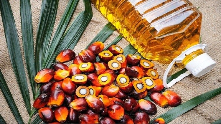 Pride and palm oil: PepsiCo calls for big brand sustainability involvement to attract smallholder producers