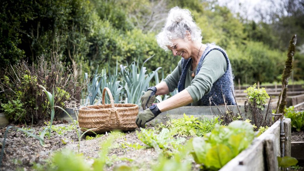 France produced 2 of the world’s oldest people: Here’s what the French do differently to stay healthy