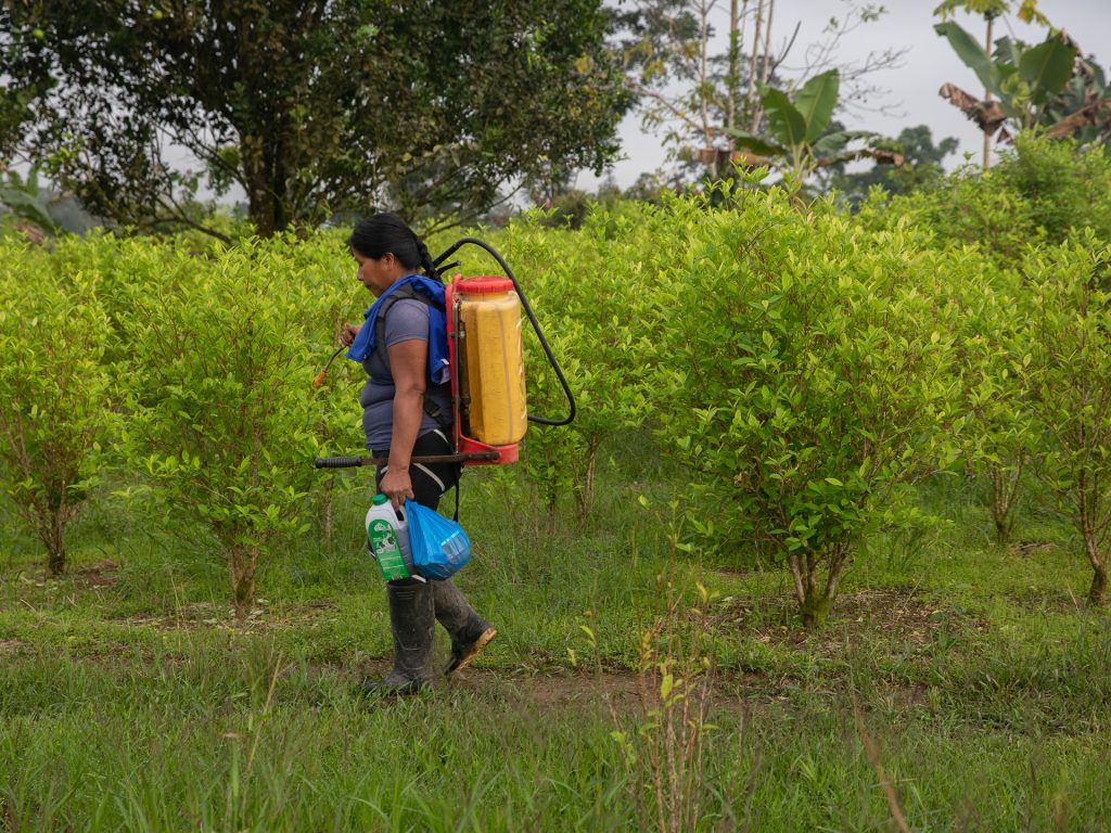 Colombia shifts strategy in drug war away from coca eradication