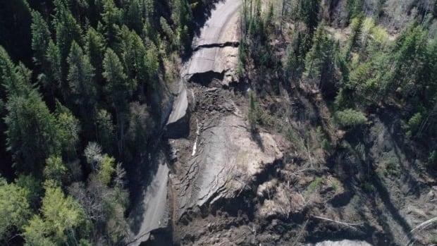 Logging, forest loss may have set ancient B.C. landslides back in motion, experts say