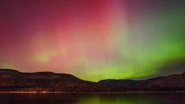 See the northern lights dance across the skies of N.L.