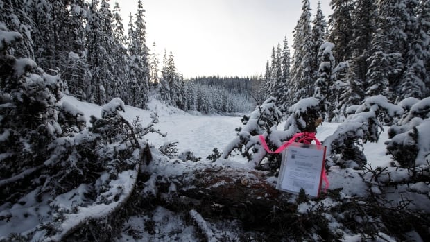 B.C. RCMP make arrests at pipeline protest site following alleged ‘swarming incidents’