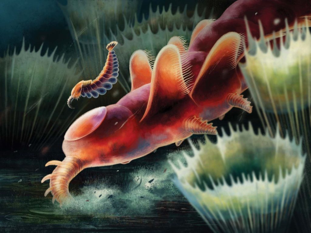 Five-Eyed, Nozzle-Nosed Oddity Lingered Far beyond the Cambrian Period