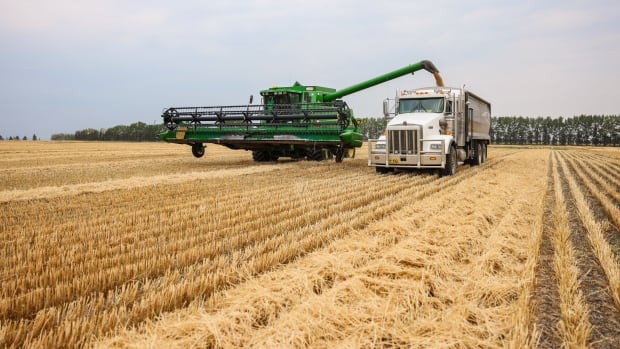 How Alberta farmers are planning for the future amid concerns around succession plans