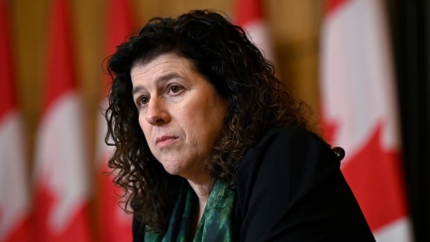 Auditor general ‘assessing’ mandate over Trudeau Foundation request to investigate