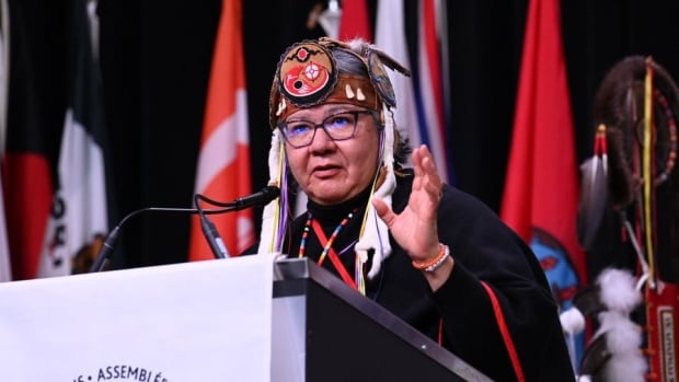 AFN executive committee to recommend national chief’s removal