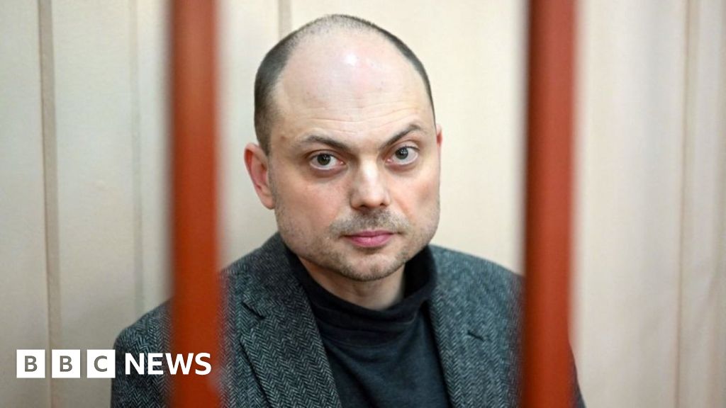 Vladimir Kara-Murza: Russian opposition figure jailed for 25 years