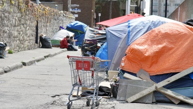 Hamilton to explore ‘advocate registry,’ where residents could host people experiencing homelessness