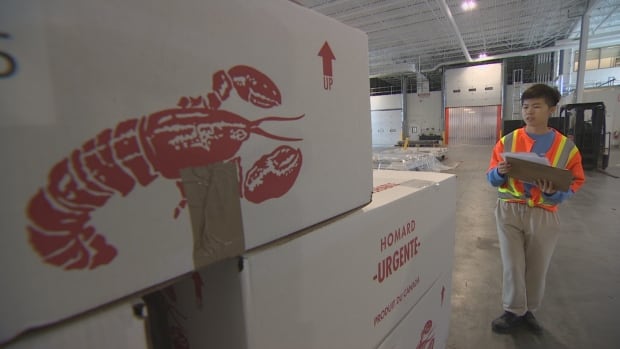 Nova Scotia MP questions Chinese ‘control’ over lobster industry