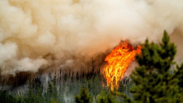 Ottawa tops up fund for humanitarian groups as climate disasters take their toll