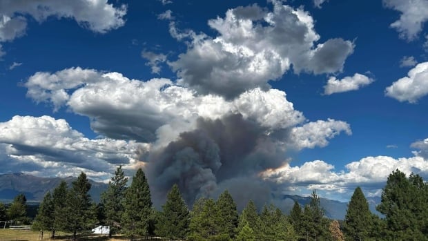 Cranbrook, B.C. airport cancels flights due to nearby wildfire