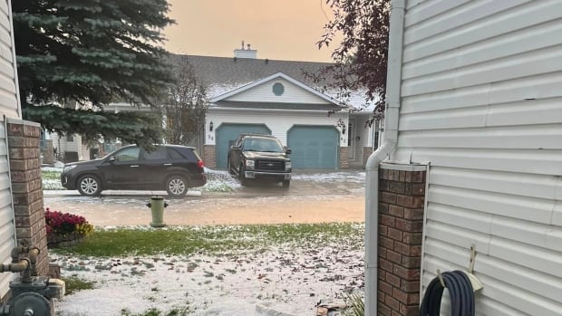 Calgary hailstorm decimated gardens, broke through shopping mall’s dome roof