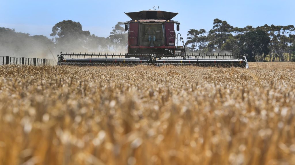 China lifts anti-dumping tariffs on Australian barley after three years, easing supply concerns