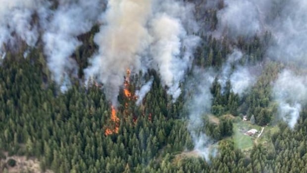 High winds in forecast pose looming fire threat, B.C. Wildfire Service says, as heat wave peaks