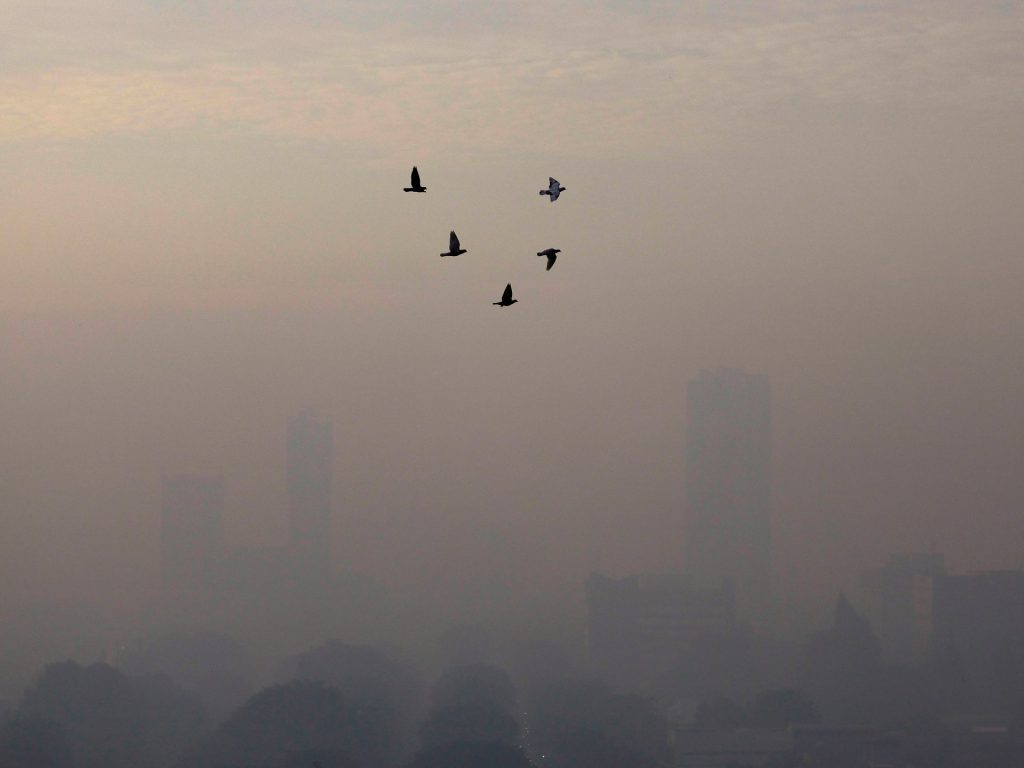 Indonesia’s president has a cough, air pollution could be the culprit