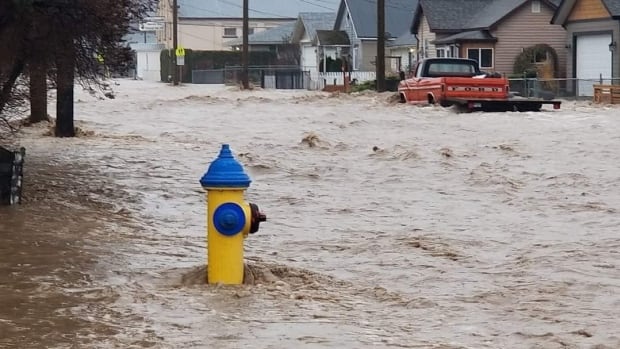 Living in this flood-prone B.C. community is like living on an active volcano, city manager warns