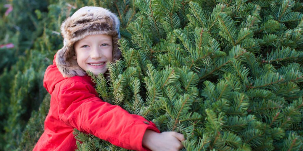 : 5 Christmas tree shopping tips to save some green