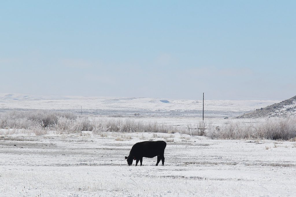 Can You Trust Farmers’ Almanacs’ Weather Predictions?