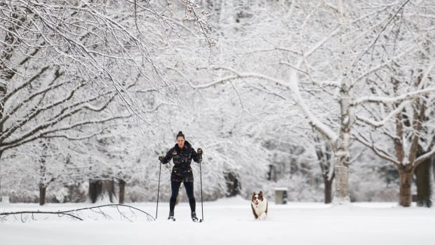 IN PHOTOS | It’s looking like winter in Canada — with some exceptions