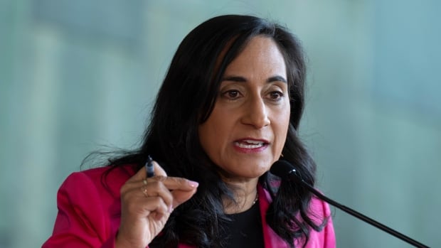 Ottawa will prevent AI tools from discriminating against potential hires, Anand says