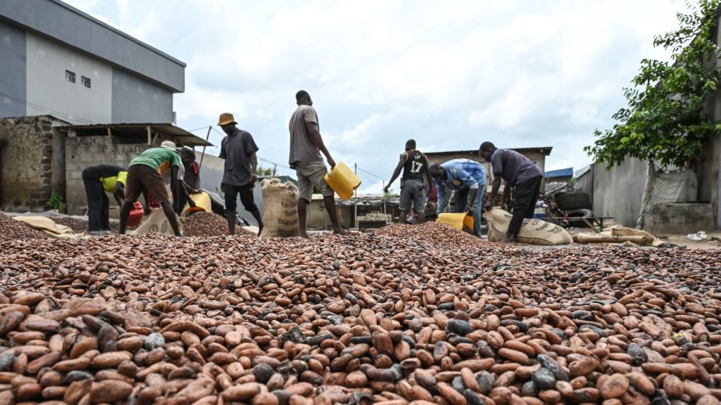 El Niño’s ‘sweet tooth’ means indulgent treats could soon be even more expensive