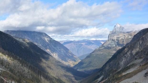 Rescuers search for missing helicopter travelling from Calgary believed to have crashed in B.C.