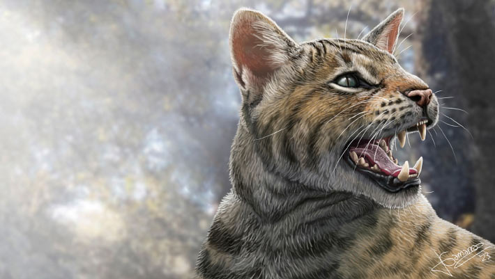 New Prehistoric Cat Species Discovered in Spain