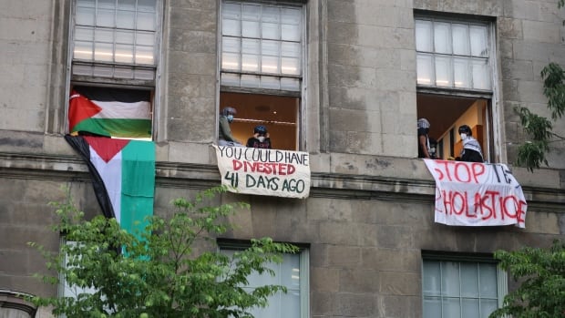 Police use tear gas on crowd as pro-Palestinian activists occupy McGill University building