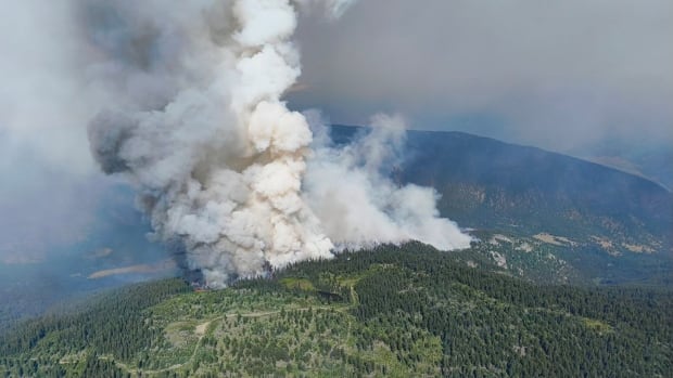 Wildfire evacuation order near Spences Bridge as new heat warnings issued across B.C.