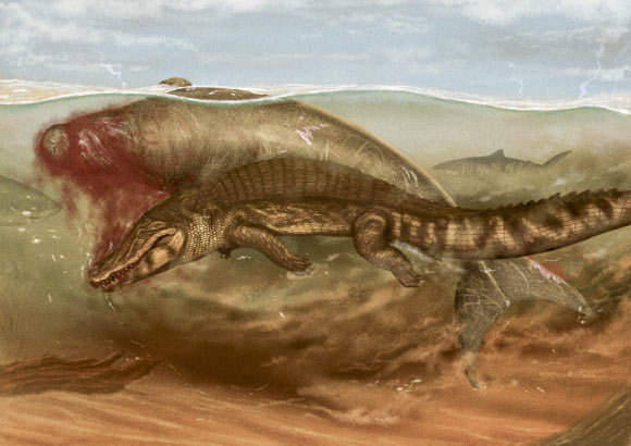 Miocene-Period Dugong Was Eaten by Crocodile and Tiger Sharks, Paleontologists Say