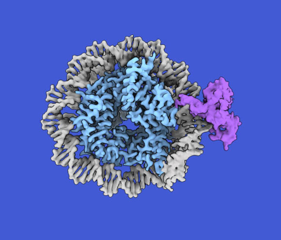 Scientists Discover New Sensor for DNA Methylation