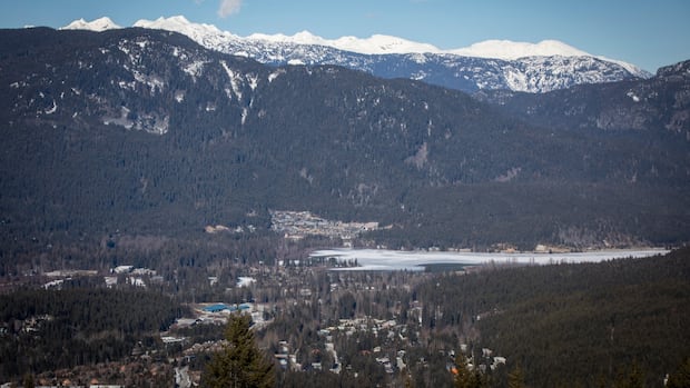 Heli-skiers ‘lucky’ to be rescued after avalanche buries group north of Whistler, B.C.