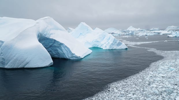 In Antarctica, Canadian scientists have a ‘momentous’ chance to learn more about climate change